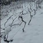 Na Winnicy Zator Chalet *