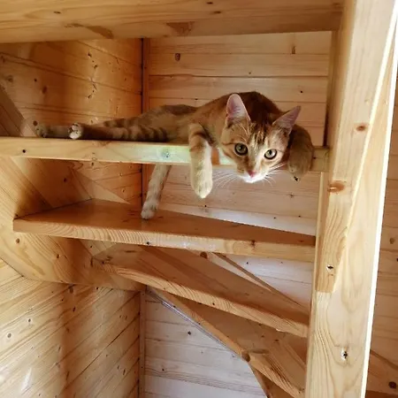 Na Winnicy Zator Przeciszow