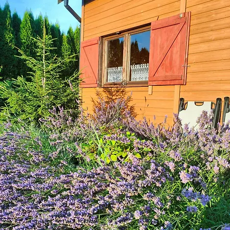 Na Winnicy Zator Przeciszow