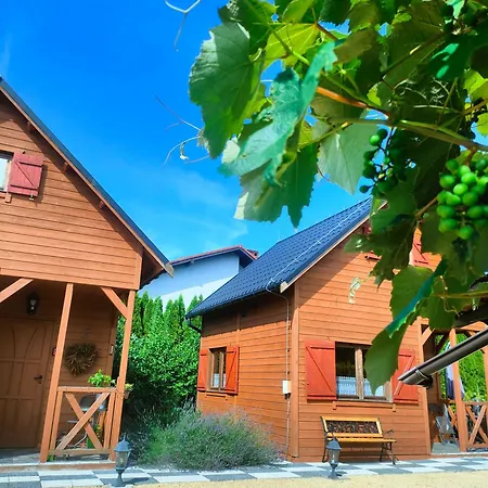 Chalet Na Winnicy Zator Przeciszow