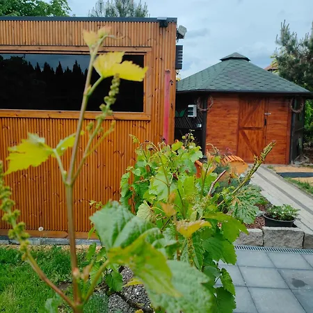 Chalet Na Winnicy Zator Przeciszow