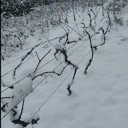 Na Winnicy Zator Alpesi faház *