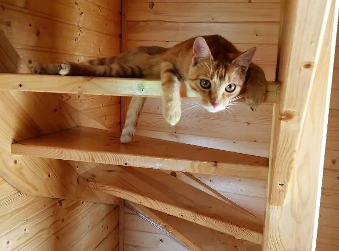 Na Winnicy Zator Przeciszow